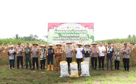 Polres Malang Gelar Panen Jagung, 8 Ton Disiapkan untuk Stok Pangan