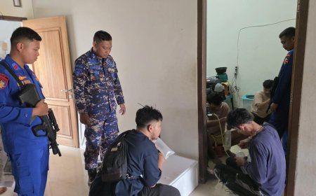 Puluhan Ribu Benih Lobster Gagal Diselundupkan, Lima Orang Ditangkap