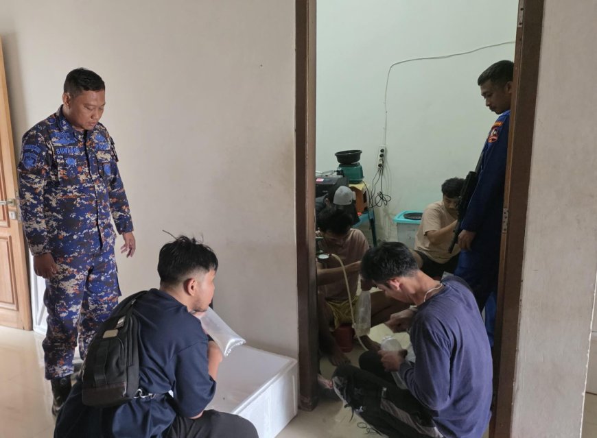 Ditpolair Korpolairud Amankan Pelaku Penyelundupan Benih Lobster