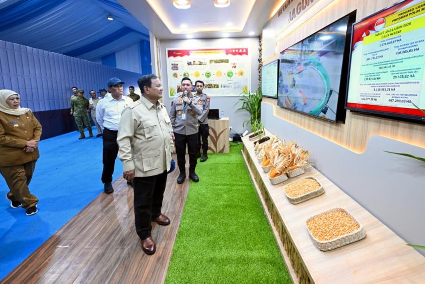 Cadangan Beras Nasional Cetak Rekor 5,3 Juta Ton